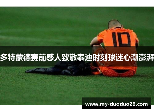 多特蒙德赛前感人致敬泰迪时刻球迷心潮澎湃