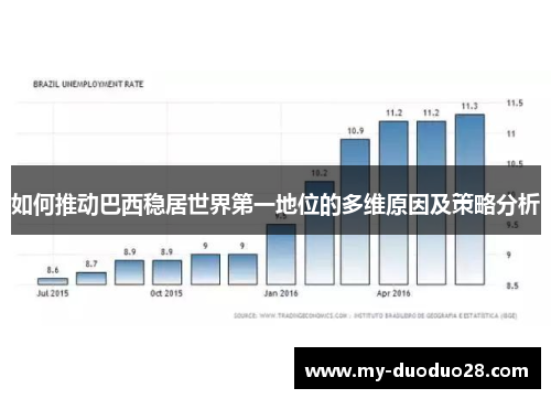 如何推动巴西稳居世界第一地位的多维原因及策略分析