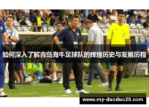如何深入了解青岛海牛足球队的辉煌历史与发展历程