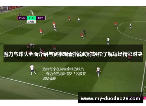 魔力鸟球队全面介绍与赛事观看指南助你轻松了解每场精彩对决